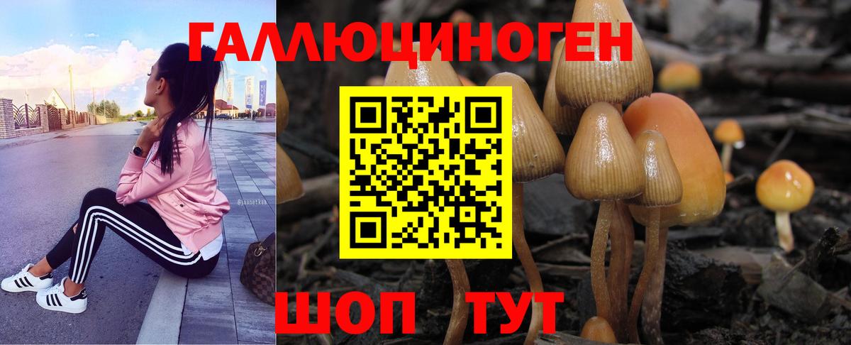 Озёры  Галлюциногенные грибы мухоморы  Псилоцибиновые грибы мухоморы  Вход с VPN 
